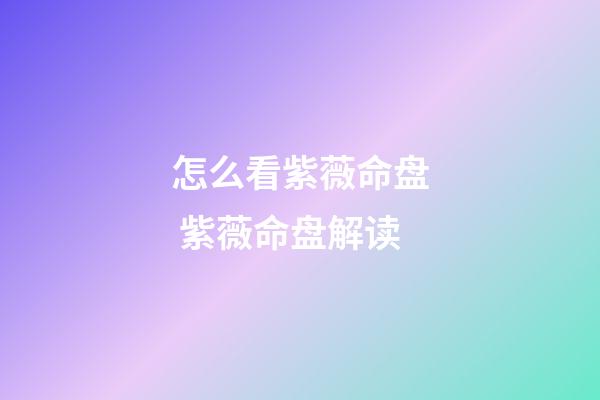 怎么看紫薇命盘 紫薇命盘解读-第1张-观点-玄机派